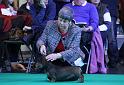 Crufts_dachshunds 820